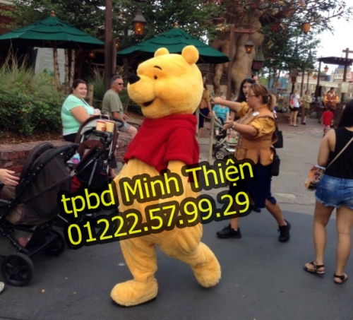 Bán Và Cho Thuê Mascot Gấu Pooh Giá Rẻ Ở Tphcm